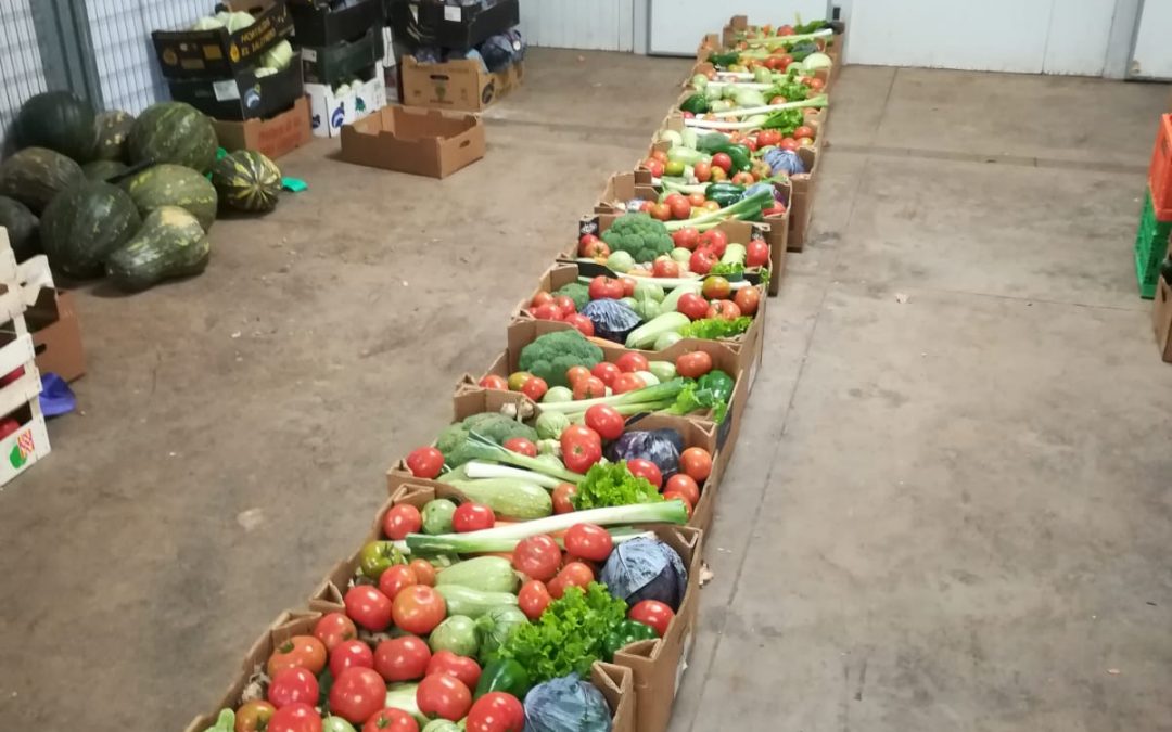 El Ayuntamiento de Tegueste entrega lotes de alimentos a más de 140 familias del municipio