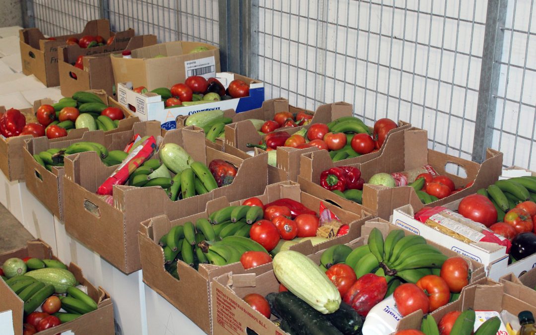 Vecinos y agricultores de Tegueste donan más de 1.000 kilos de alimentos a 153 familias del municipio