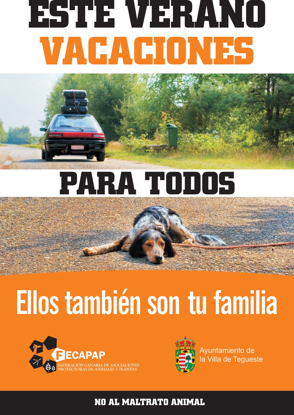 El Ayuntamiento de Tegueste lanza una campaña contra el abandono animal
