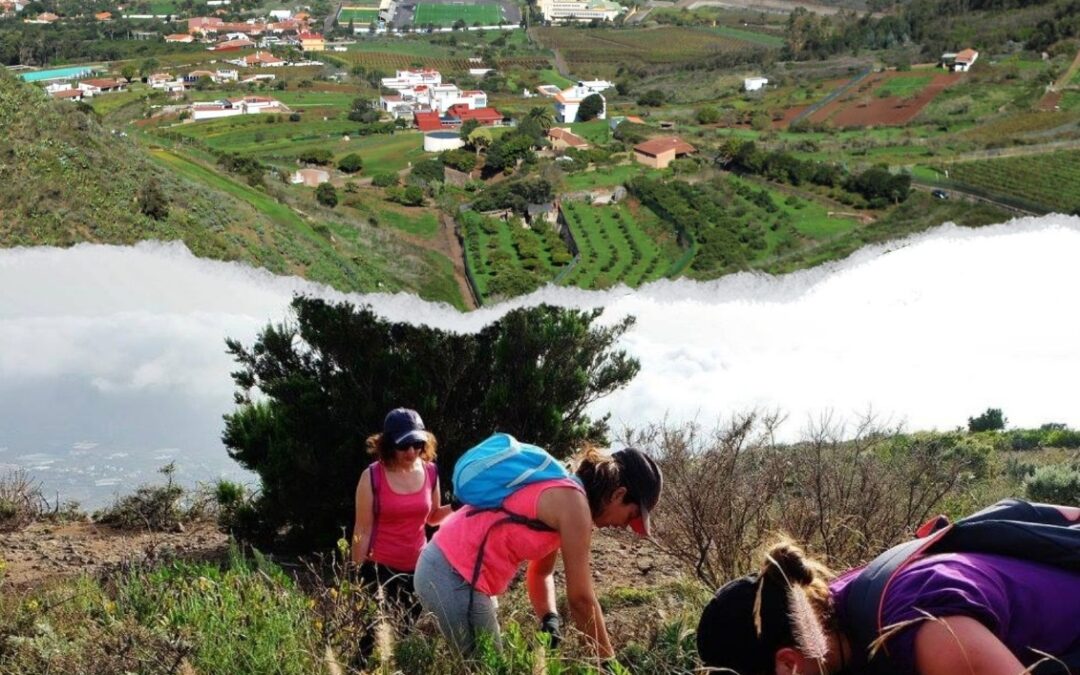 El Ayuntamiento de Tegueste impulsa un programa de senderos para voluntariado ambiental
