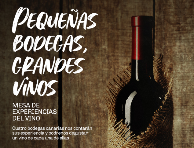 La mesa de experiencias ‘Pequeñas bodegas, grandes vinos’, espacio de reflexión e intercambio de experiencias sobre el sector