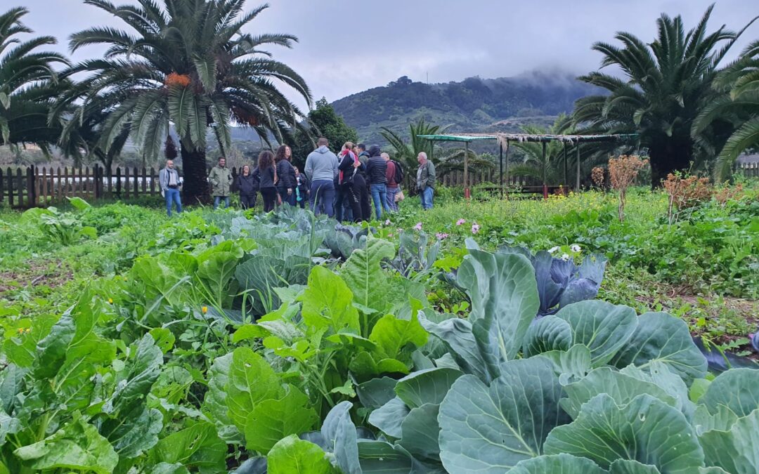 El Ayuntamiento de Tegueste impulsa una formación en agricultura ecológica y alimentación saludable