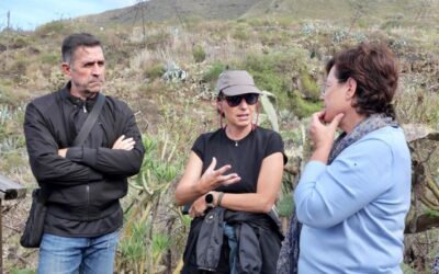 Gobierno, Cabildo y Ayuntamiento de Tegueste proyectan la apertura del parque arqueológico de Barranco Agua de Dios